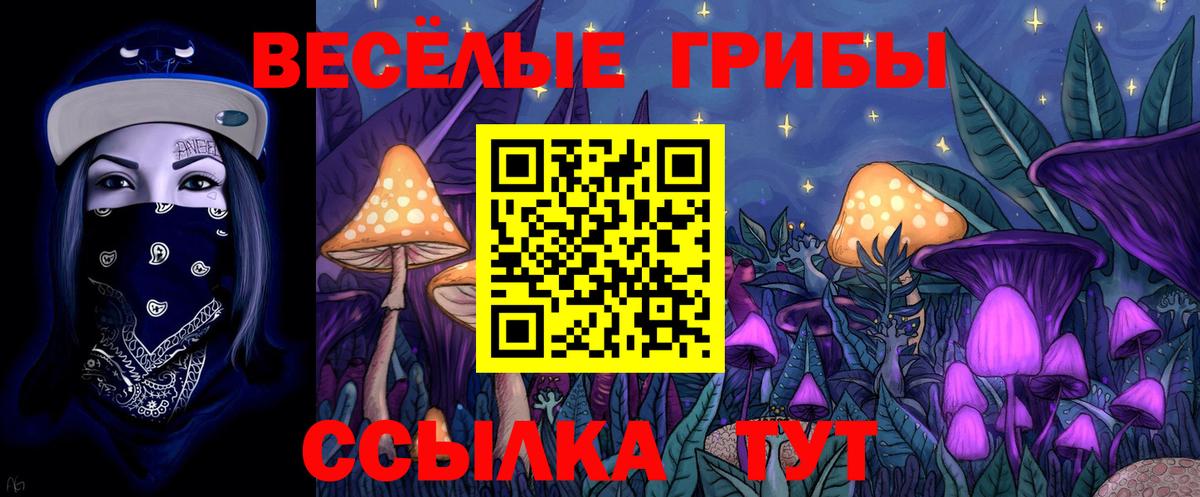 Миллерово  Псилоцибиновые грибы Magic Shrooms  Вход с VPN 